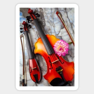 Baroque And pocket Violin With pink Dahlia Sticker